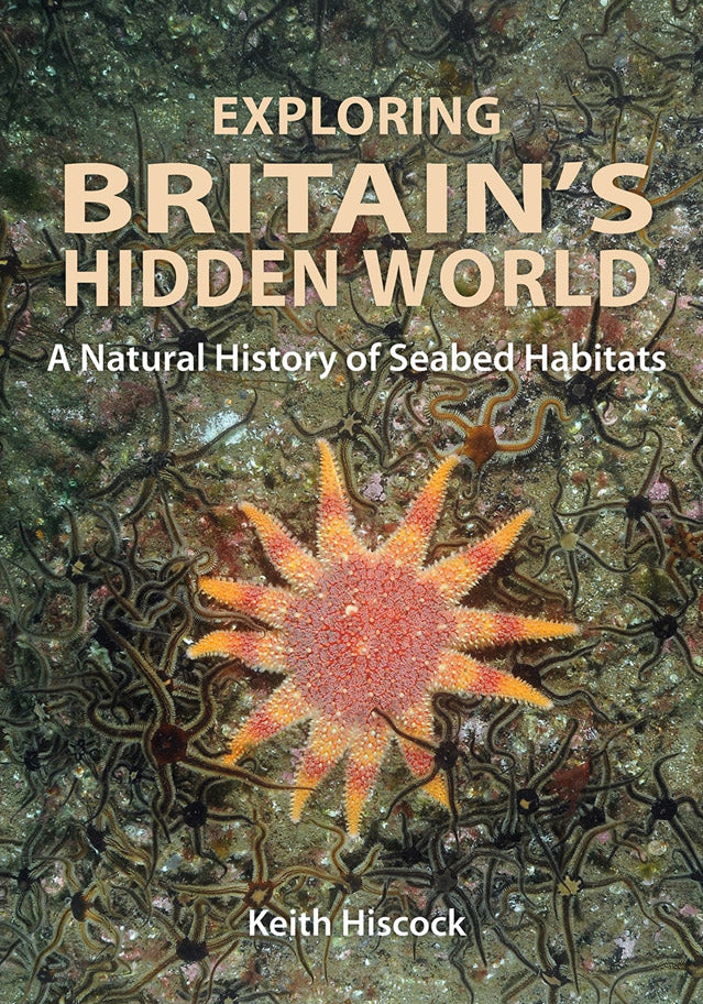 Exploring Britain's Hidden World: A Natural History of Seabed Habitats