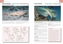 Load image into Gallery viewer, A Field Guide to the Marine Fishes of Wales and Adjacent Waters
