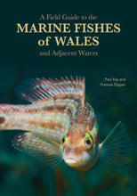 Load image into Gallery viewer, A Field Guide to the Marine Fishes of Wales and Adjacent Waters
