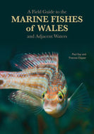A Field Guide to the Marine Fishes of Wales and Adjacent Waters