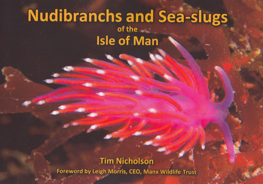 Nudibranchs and Sea-slugs of the Isle of Man